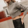 Bohme Mickie Cropped Sweater in - FINAL SALE
